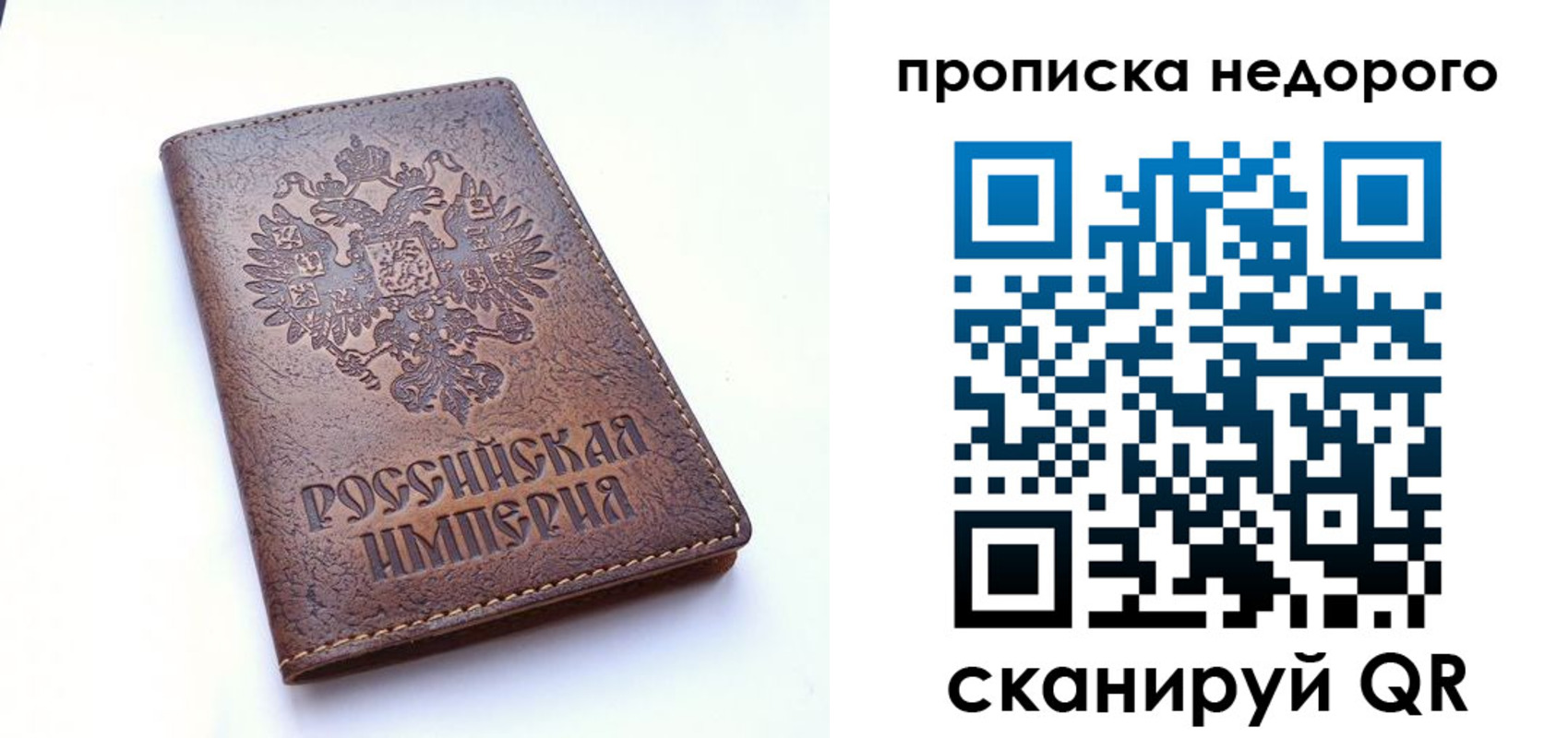 прописка поиск в Вологде